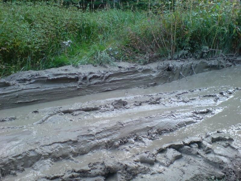 W niezłe bagno się wpakowałem.