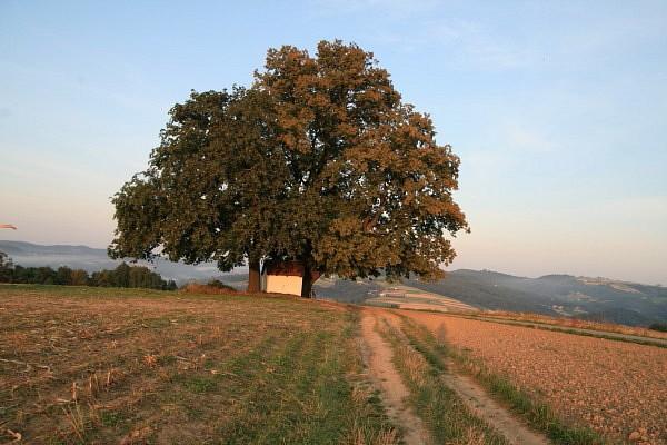 Kapliczka nad Gródkiem