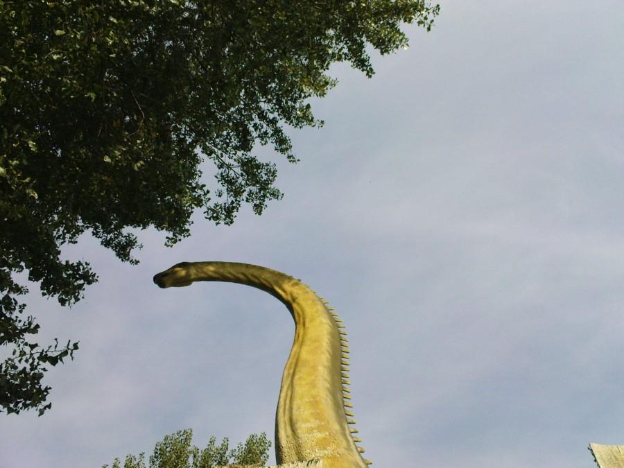 Dino