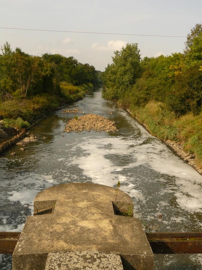 Kłodnica poniżej spiętrzenia.