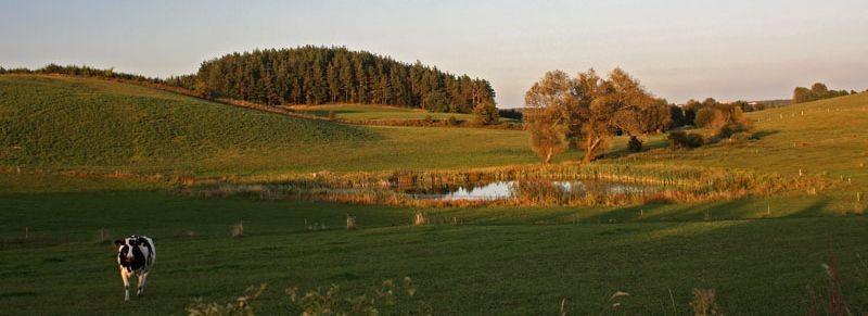 Mazurskie pola