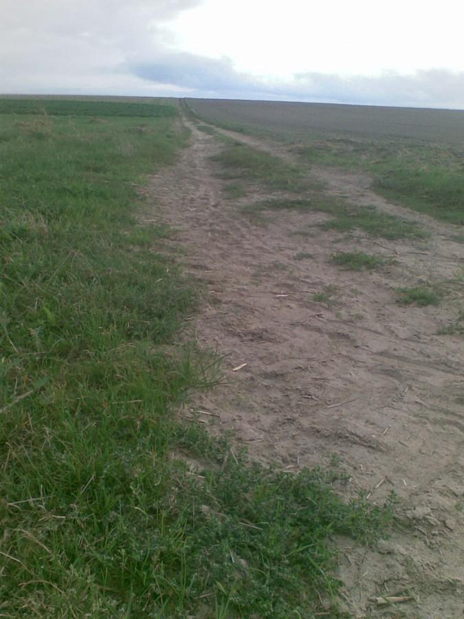 Nasz njdłuższy lokalny podjazd./Wzniesienie AMT/ 110 m npm