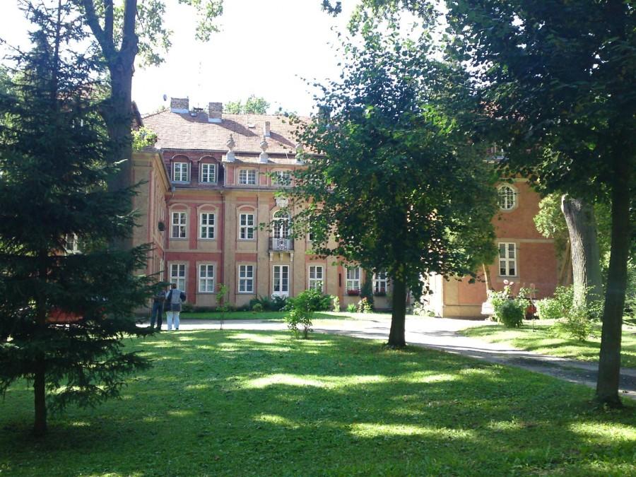 Pałac pośród lasów