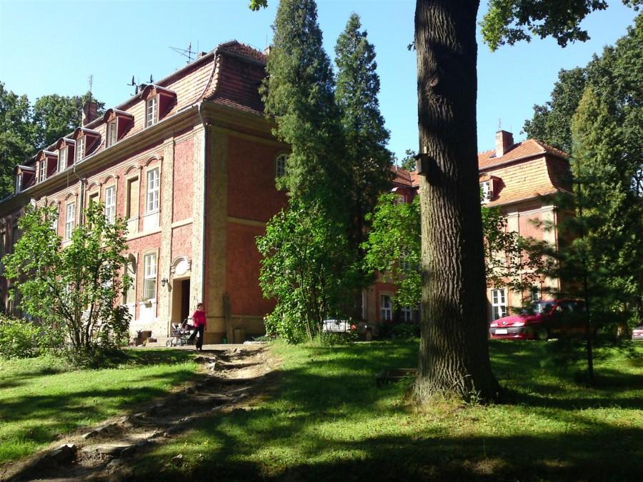 Pałac pośród lasów