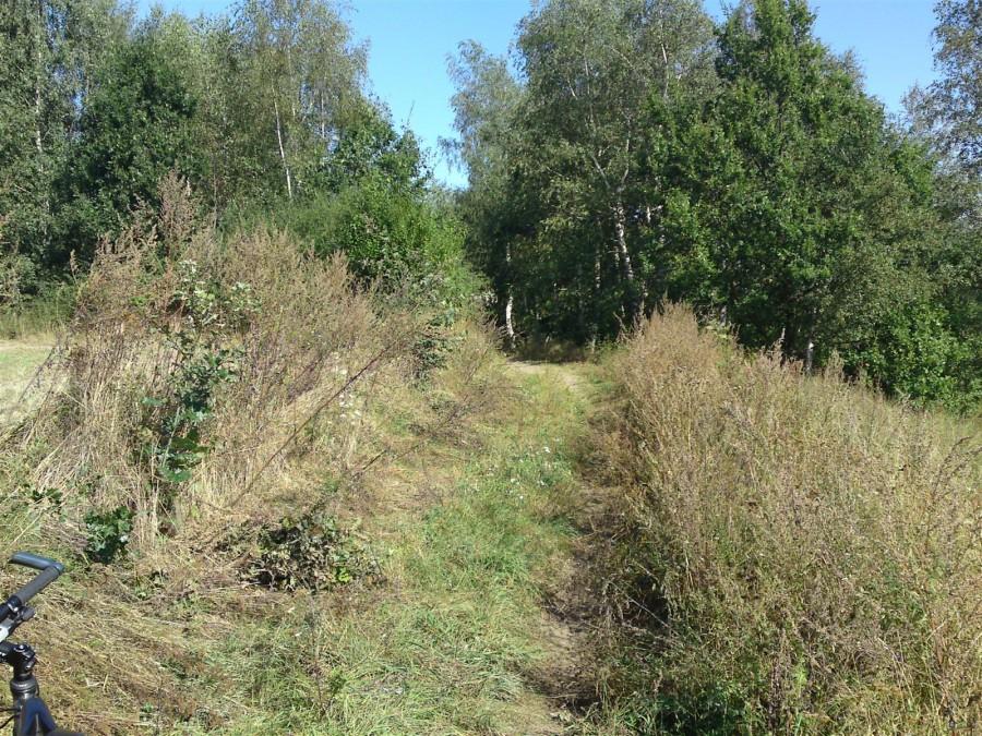 Ścieżka na szczcie prowadzi podbnie jak w górach granią