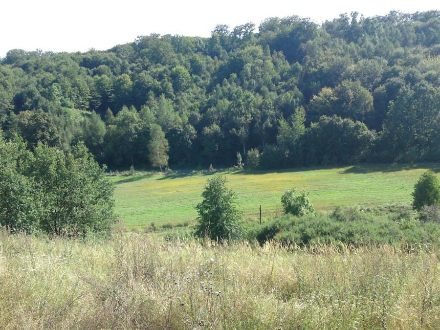 kilka widoczków ze wzgórz