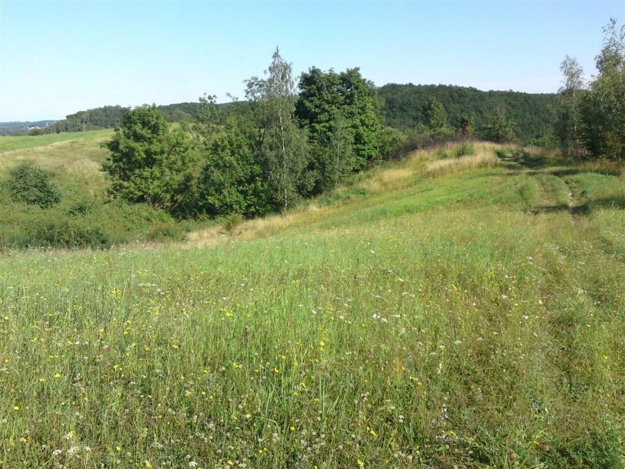 Na lewo w dół, na prawo w dół, więc my środeczkiem