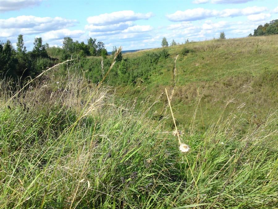Dziura - wąwóz, za tą trawką a potem podjazd