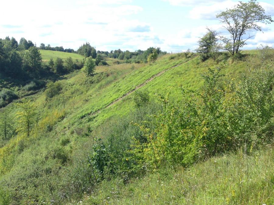 Strome wyzwanie