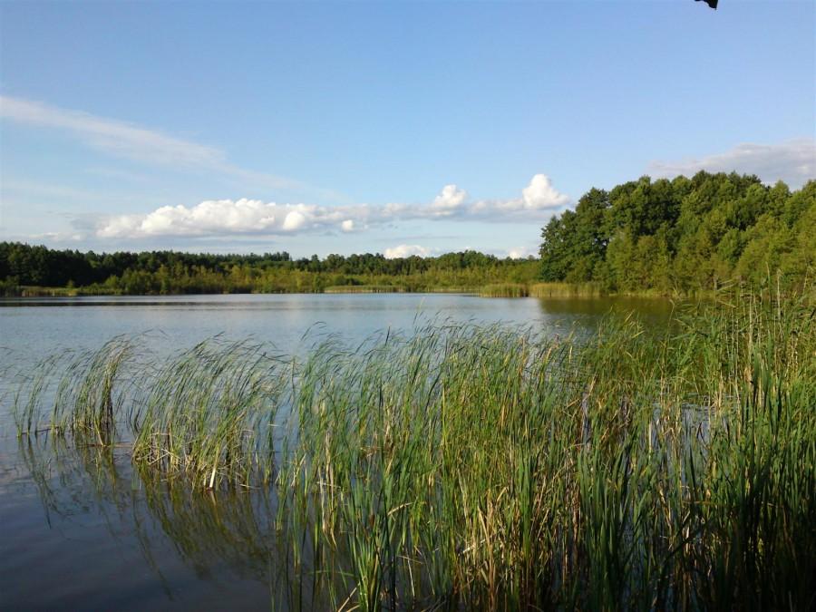 Jezioro Kruteckie
