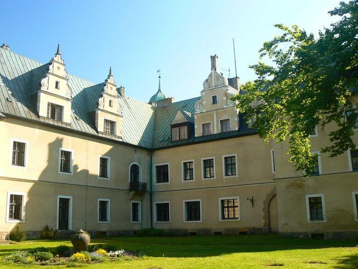 Zamek Hochbergów z Goraju, dzidziniec wewnętrzny