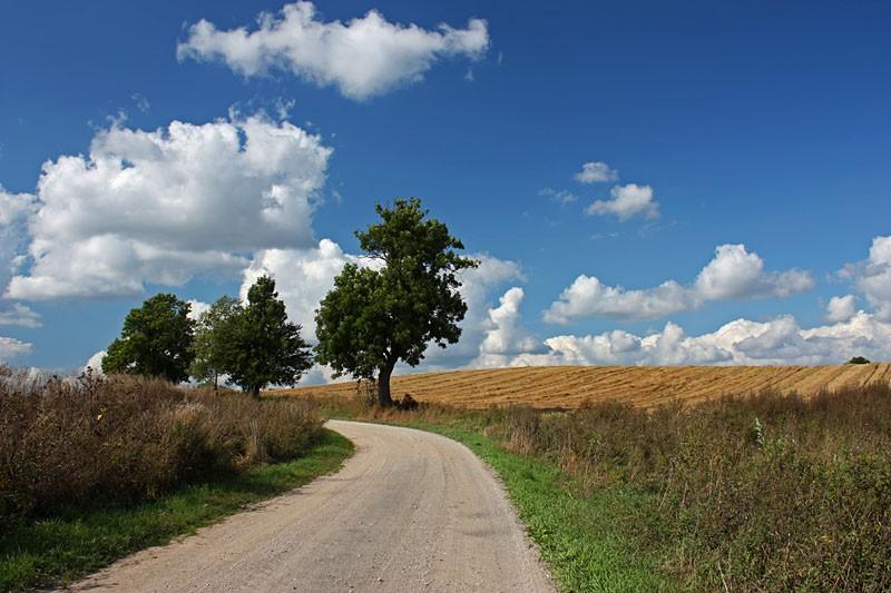 Koniec lata