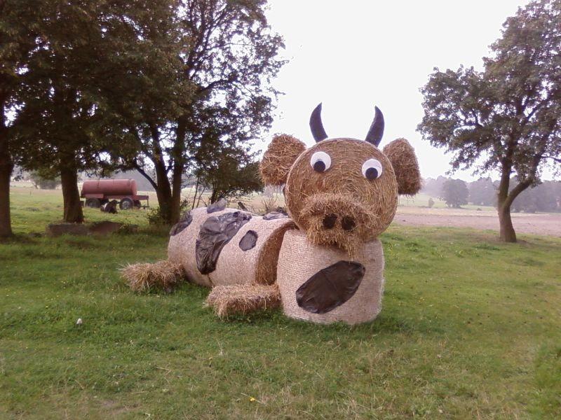 Krówka