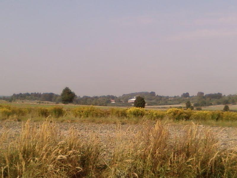 Krajobraz późnoletni