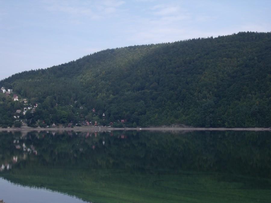 Jezioro Międzybrodzkie kwitnie:(