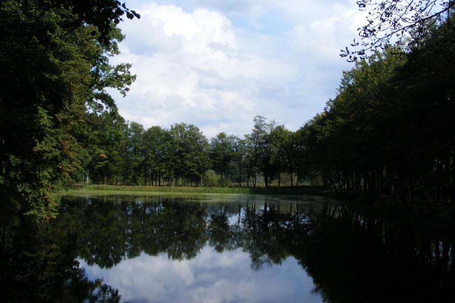 Przypałacowy ogródek;PP