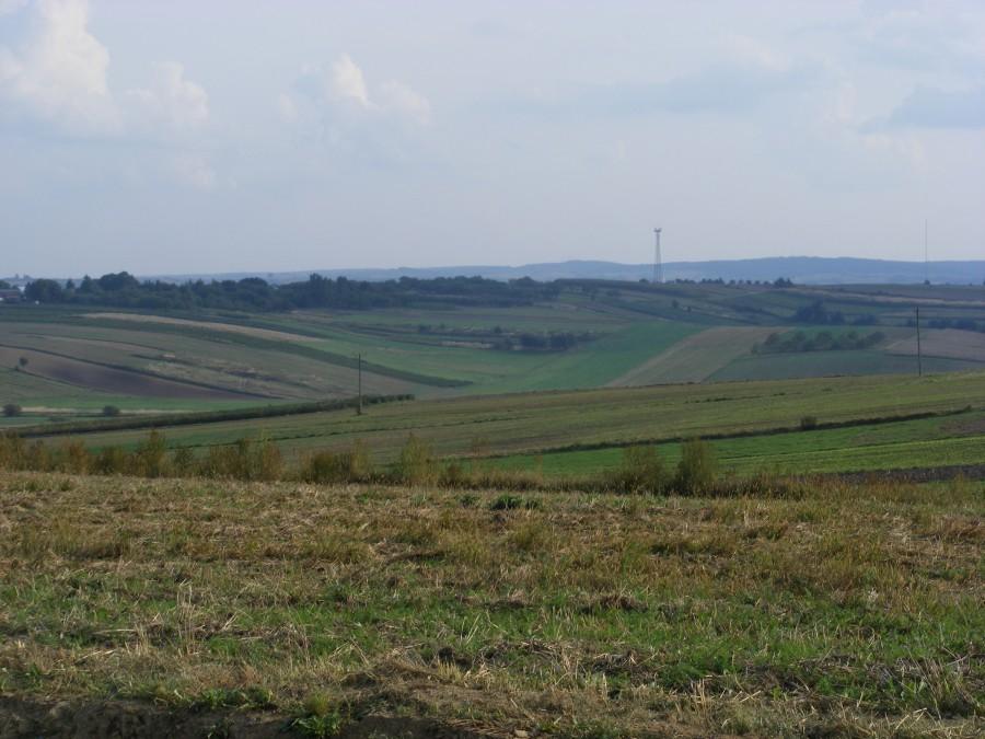 Pola między Kańczugą, a Markową