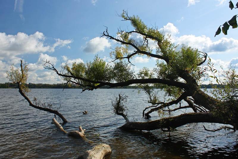 Jezioro Ełckie