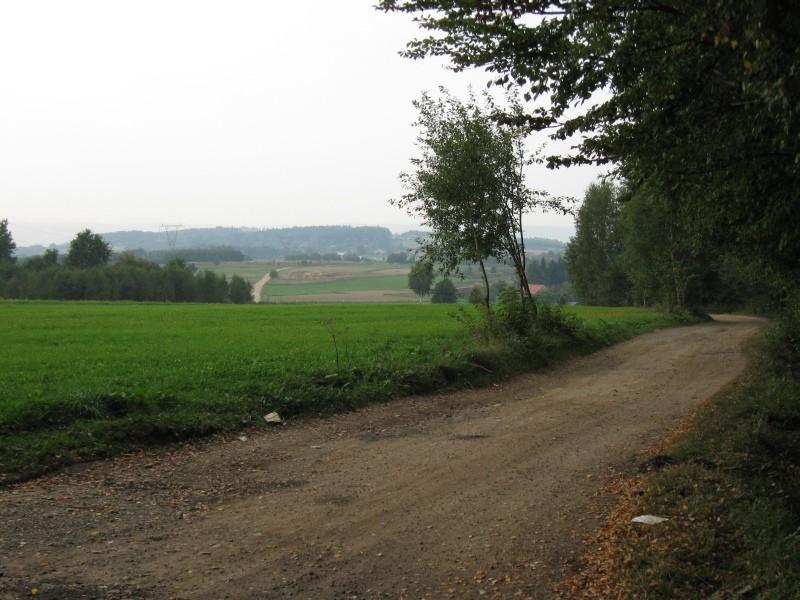 W Gliniku Charzewskim.