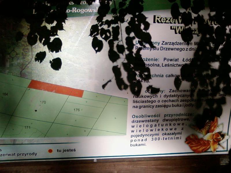 Tablica