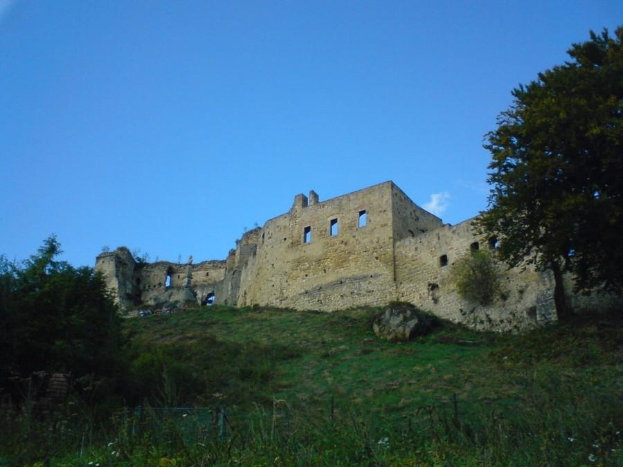 Zamek w Odrzykoniu 1