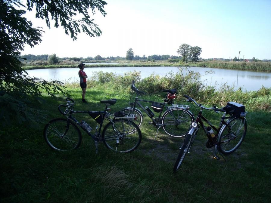 Postój na stawach w Malcu