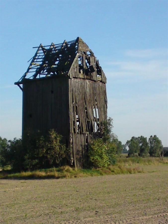 Ruina wiatraka w Czerlejnie
