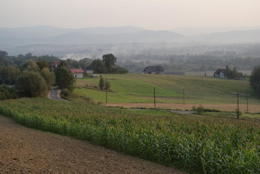 widok na Beskid Mały