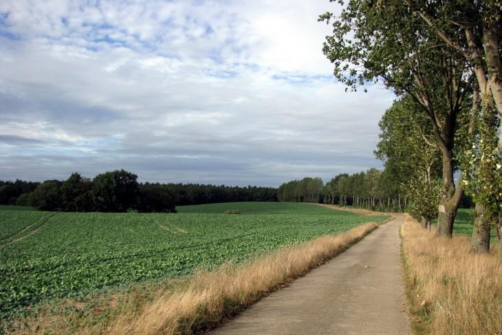Droga Nadrensee - Lebehn