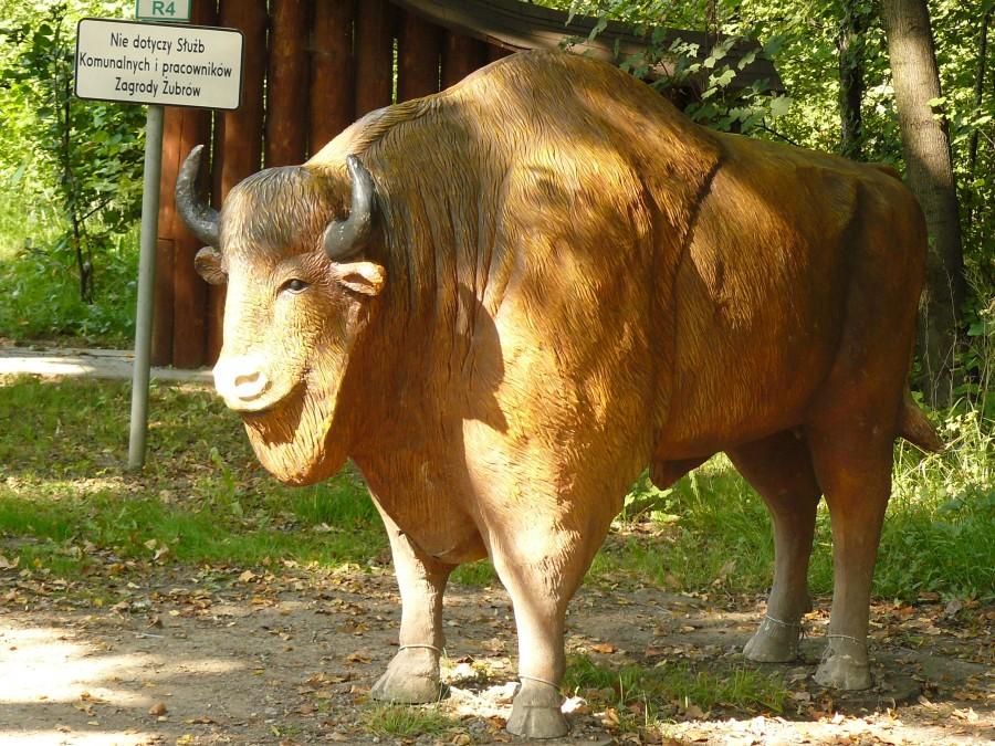 Żubr. Były też kapslowane i puszkowane :P