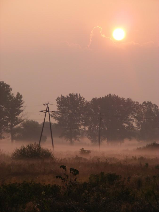 Wschodzące słońce nad polami..
