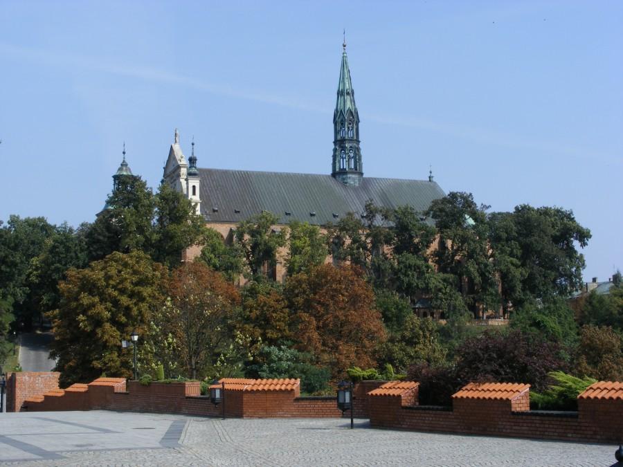 Katedra schowana w drzewach