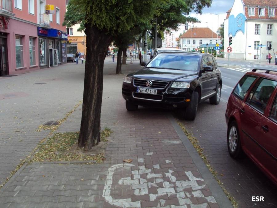 Ścieżki rowerowe Elbląga