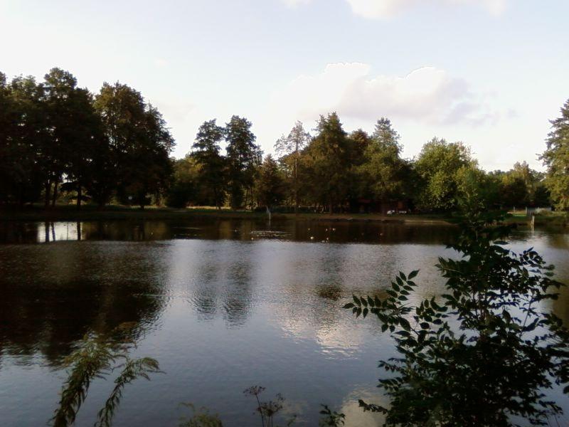 Staw na Młynku