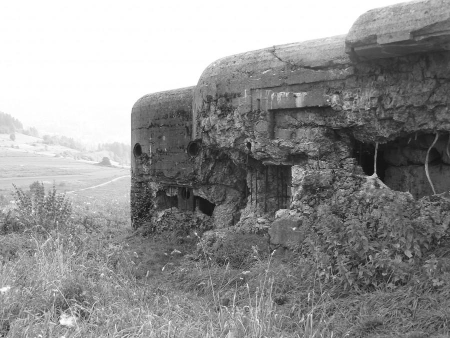 Fort "Wyrwidąb"