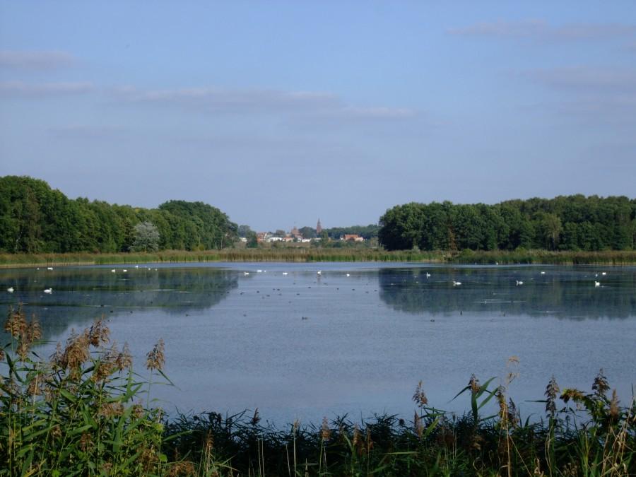 widok na Miłosław