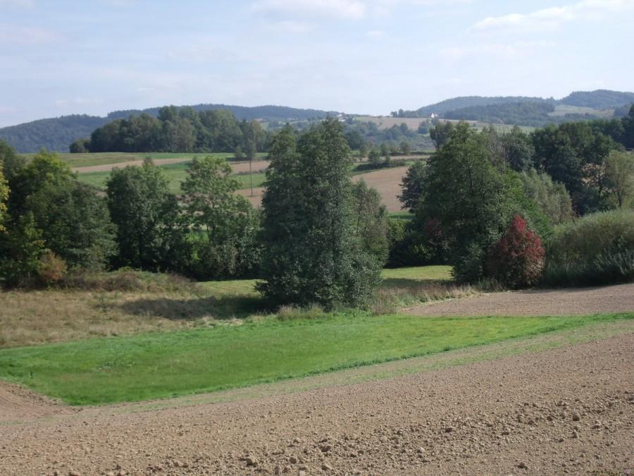 pola już zaorane