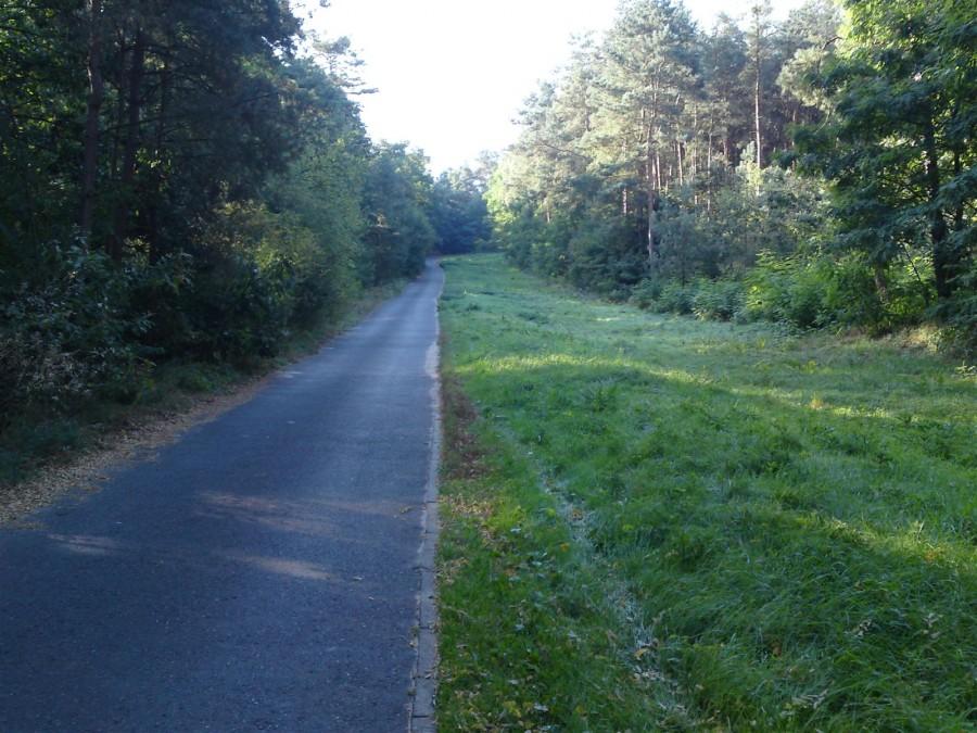 Asfaltowy podjazd za Puszczykowem