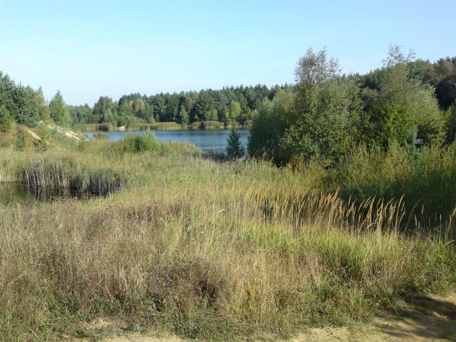 Glinianki