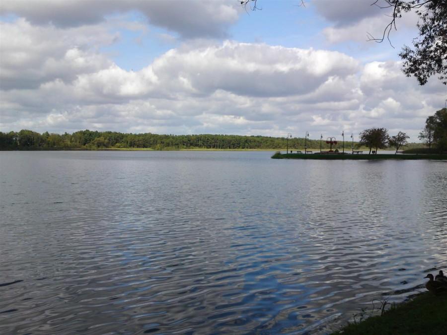 Jezioro Wolsztyńskie