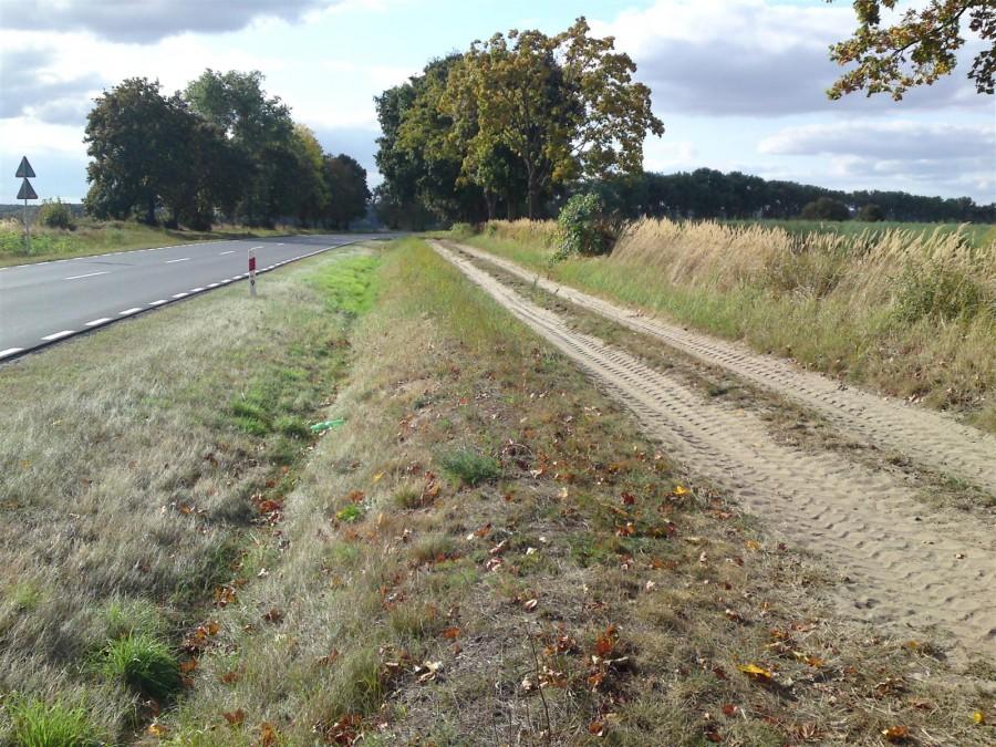 Gdzieś na trasie między Kargową a Sulechowem