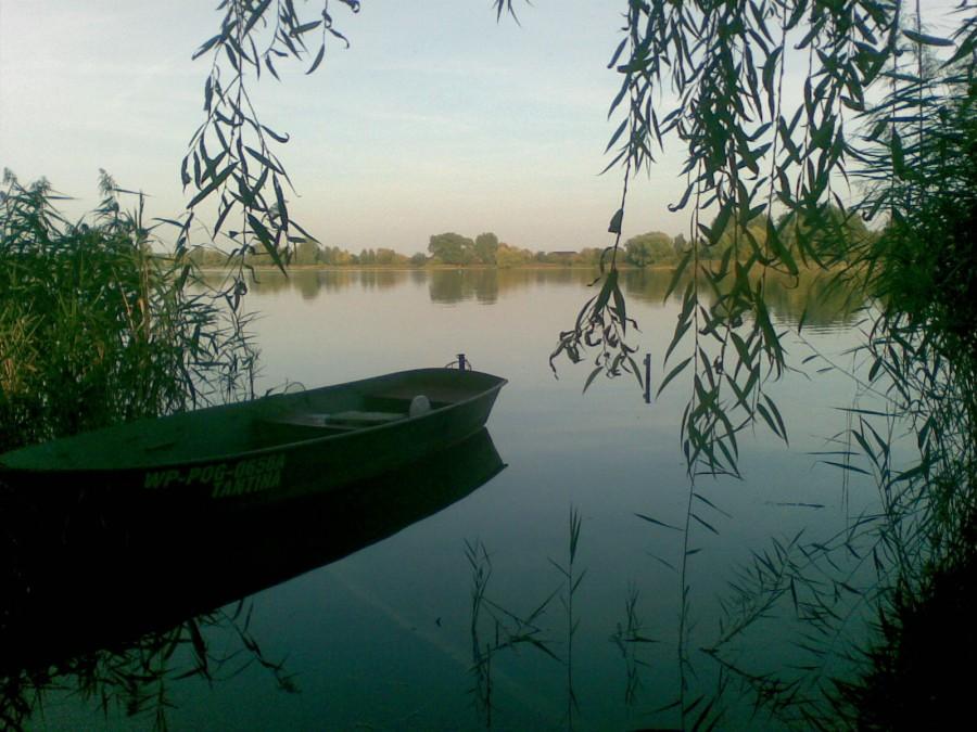 A mnie jest szkoda lata .....