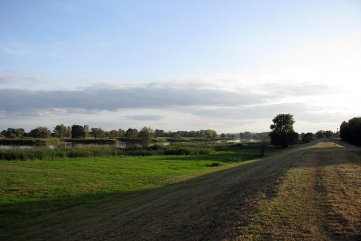 Nad Odrą