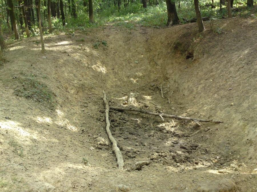Las pod Wirami i dziura w ziemi, dziura jak dziura, ale te gałęzie