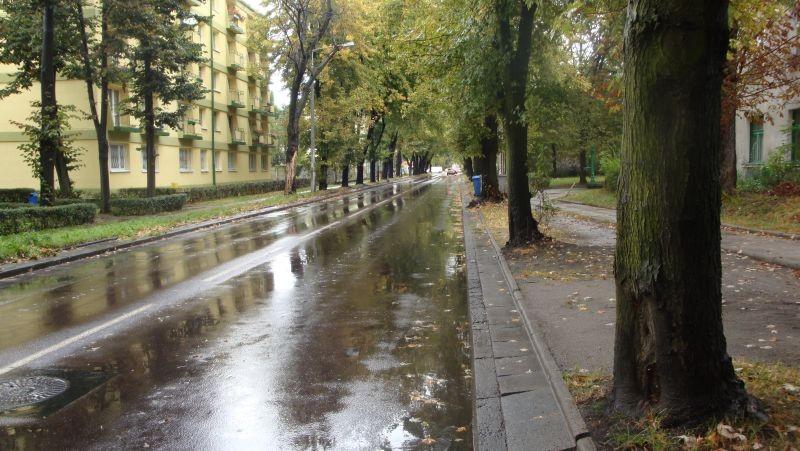 Klonowa