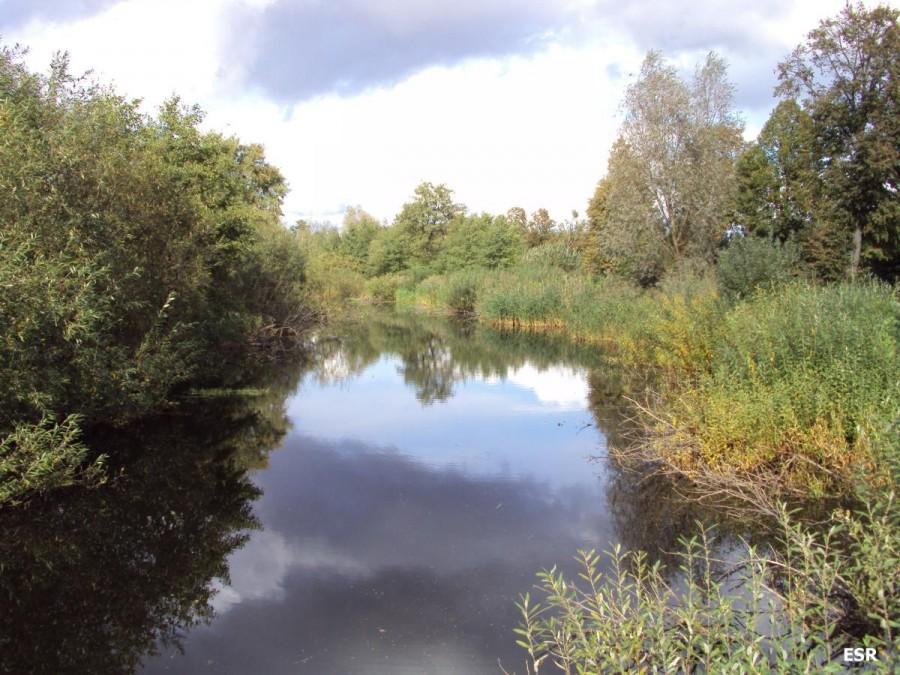 Fiszewka