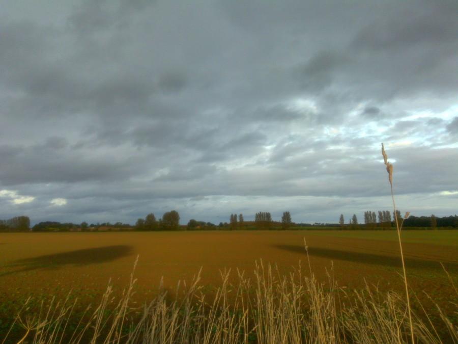On the road