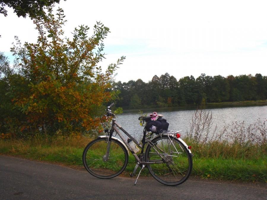 jesień zawitała nad staw