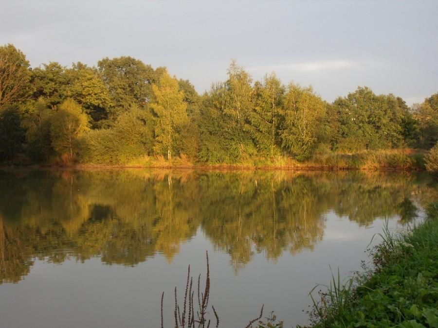 oś symetrii