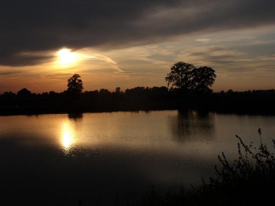 taki sobie zachodzik